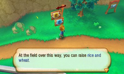 harvest moon connect to a new land9
